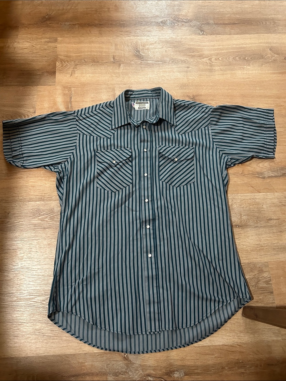 Men's Striped Short Sleeve Button-Down Shirt - Blue/Black